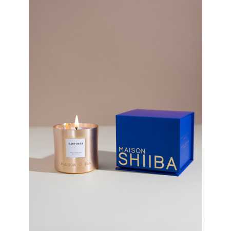 %shop-name%%separator%%product-name%%separator%%brand%%category%