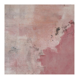 INTERIEUR-DECORATION|Tableau ROSAEBLANC D'IVOIRETableaux