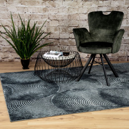 Living room rugs GRETA 802