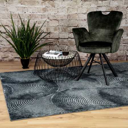 Living room rugs GRETA 802