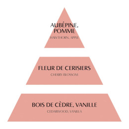 INTERIEUR-DECORATION|Bougie parfumée Fleur de Cerisier Les Intemporelles 400 gMATHILDE MBougie parfumée